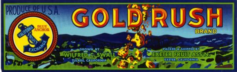 Gold Rush